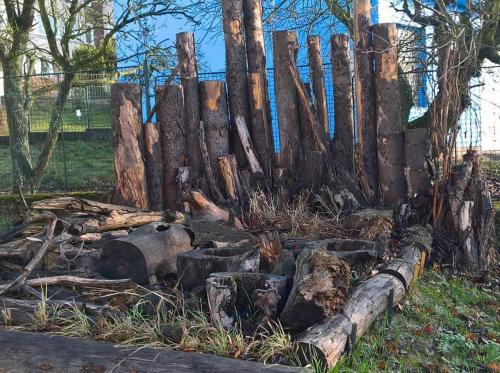 Foto z gymnázia - Environmentální vzdělávání, výchova a osvěta